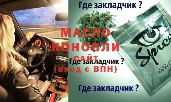 шишки Белоозёрский