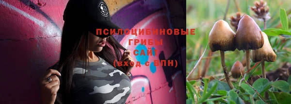 шишки Белоозёрский