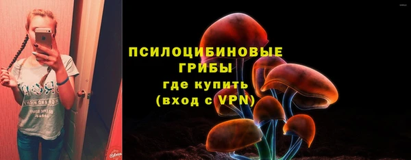СК Белокуриха