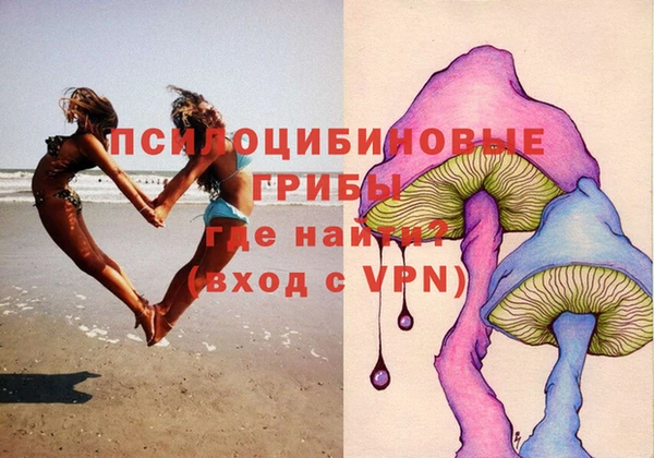 шишки Белоозёрский