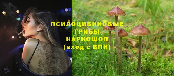 СК Белокуриха