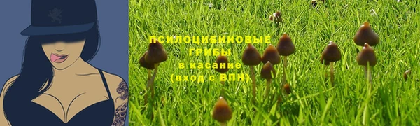 ALPHA PVP Беломорск