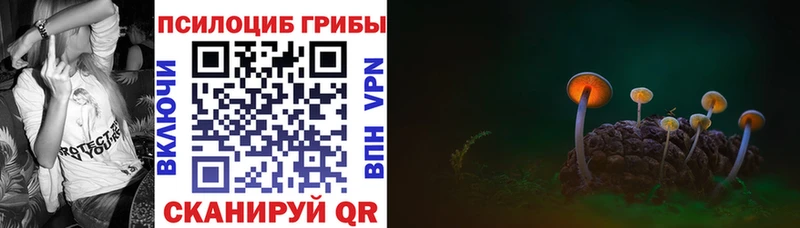 Галлюциногенные грибы прущие грибы Верхний Уфалей